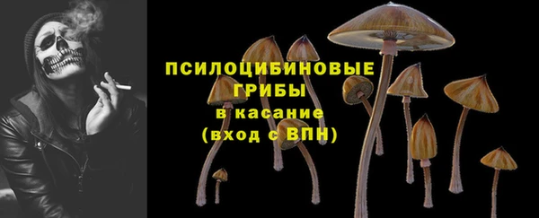 меф Арсеньев