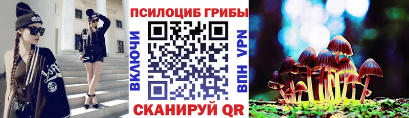 магазин продажи OMG как зайти Псилоцибиновые грибы ЛСД Арсеньев